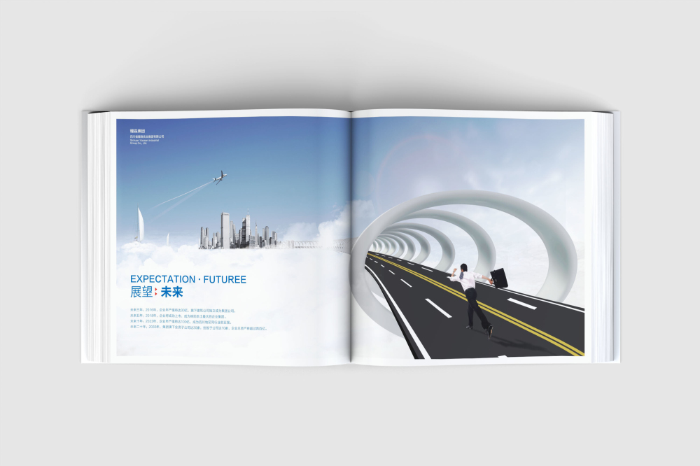 天元区画册设计